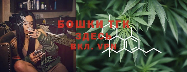 дживик Аркадак