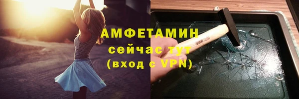 твердый Арсеньев