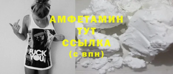 твердый Арсеньев