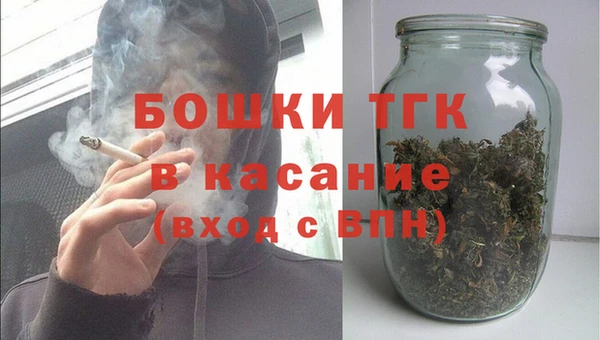 твердый Арсеньев