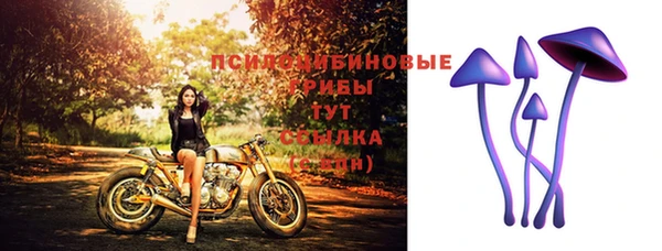 твердый Арсеньев