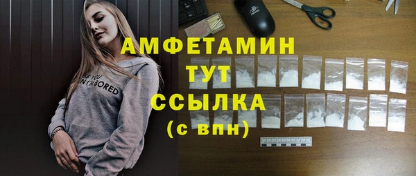 твердый Арсеньев