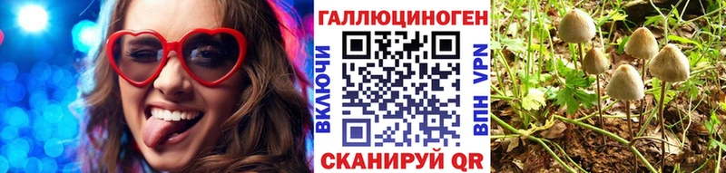 наркотики  Клин  нарко площадка формула  Галлюциногенные грибы Psilocybine cubensis 