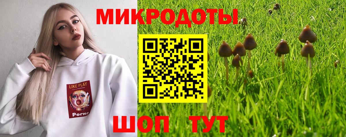 Клин  Псилоцибиновые грибы Cubensis  Вход с VPN 