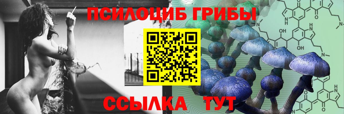 Галлюциногенные грибы Magic Shrooms Клин